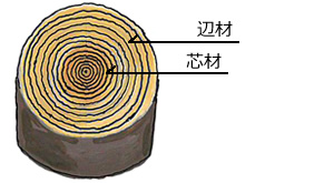 構造材の品質